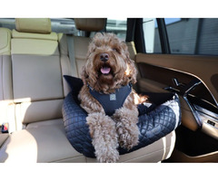 Find an awesome leather dog car seat | free-classifieds-usa.com - 1