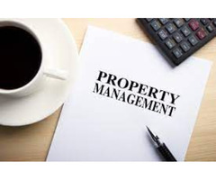 Property Investment Real Estate Minnesota - VSM Real Estate | free-classifieds-usa.com - 1