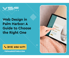 Web Design in Palm Harbor: A Guide To Choose The Right One | free-classifieds-usa.com - 1