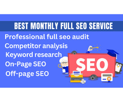 Are you looking for the best monthly full SEO service expert? | free-classifieds-usa.com - 1