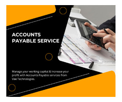 Accounts Payable Services in USA | free-classifieds-usa.com - 1