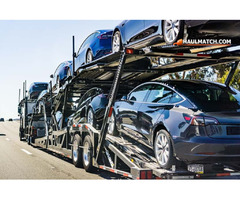 Efficient and Reliable Car Transport from NY to Florida | free-classifieds-usa.com - 1