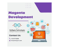 Choose a Reliable Magento Development Company | free-classifieds-usa.com - 1