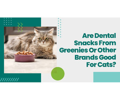 Are Dental Snacks From Greenies Or Other Brands Good For Cats? | free-classifieds-usa.com - 1