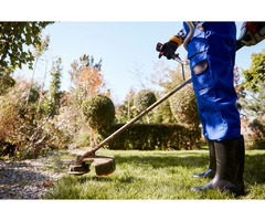 Lawn Mulching Professional near Naperville | free-classifieds-usa.com - 1