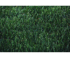Lawn Mulching Professional near Naperville | free-classifieds-usa.com - 4