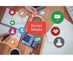 Searching for best social media management company in Texas | free-classifieds-usa.com - 1