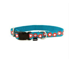 Buy PetSafe Fido Finery Quick Snap Collar | free-classifieds-usa.com - 1