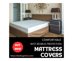 Save 10% on Premium Bed Bug Mattress Covers - Bedbugstore | free-classifieds-usa.com - 1