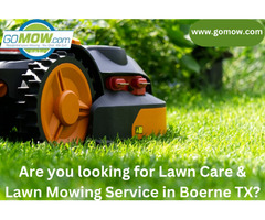 Are you looking for Lawn Care & Lawn Mowing Service in Boerne TX? | free-classifieds-usa.com - 1