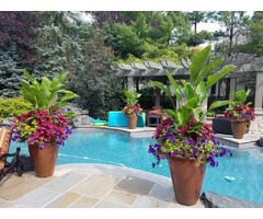 Quality Residential Landscaping Services in Downers Grove – Wingren Landscape | free-classifieds-usa.com - 1