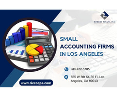 Small accounting firms in Los Angeles | free-classifieds-usa.com - 1