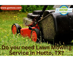 Do you need Lawn Mowing Service in Hutto, TX? | free-classifieds-usa.com - 1