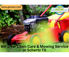 We offer Lawn Care & Mowing Service in Schertz TX | free-classifieds-usa.com - 1