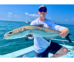 Bay Fishing Trips in Sarasota - Book Now | free-classifieds-usa.com - 1