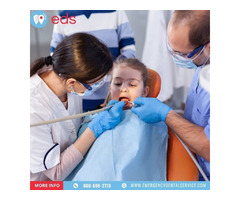 Emergency Dentist Service in Thornton-PA | Emergency Dental Service | free-classifieds-usa.com - 1