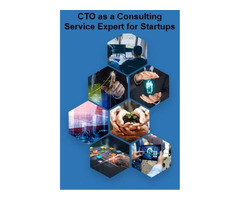 Make Strategic Business Decisions With Virtual CTO Consultants | free-classifieds-usa.com - 1