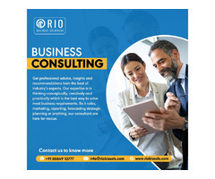 Business Consulting Services - Rio Business Solutions | free-classifieds-usa.com - 1