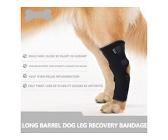 The Best Dog Knee Brace | free-classifieds-usa.com - 1
