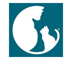 Improving the Lives of Cats - Alley Cat Allies | free-classifieds-usa.com - 1
