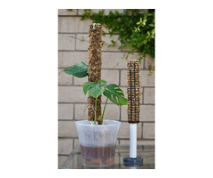 Moss Poles for Plant Support and Growth - Buy Online at Green Barn Orchid Supplies | free-classifieds-usa.com - 1