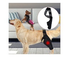 Buy Extra Large Dog Leg Protector | free-classifieds-usa.com - 1