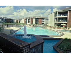 Tampa Bay Pool Builder | free-classifieds-usa.com - 1