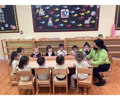 Montessori Preschool services in Whittier CA | free-classifieds-usa.com - 1
