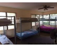 Booking Open for Affordable Accommodation In Hawaii | free-classifieds-usa.com - 1
