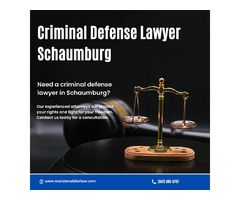 Criminal Defense Lawyer in Schaumburg | Free consultation - Acme Bail | free-classifieds-usa.com - 1