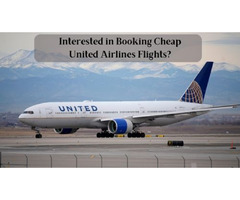 Interested in Booking Cheap United Airlines Flights? | free-classifieds-usa.com - 1