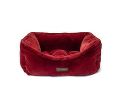 Buy soft cloud dog bed from Nandog Pet Gear | free-classifieds-usa.com - 1