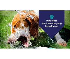 How Dehydration Takes Place | free-classifieds-usa.com - 1
