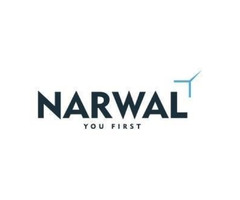 Big Data Analytics Service - Narwal | free-classifieds-usa.com - 1