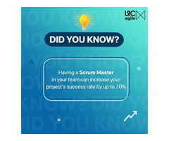 Scrum Master Online Training | free-classifieds-usa.com - 1
