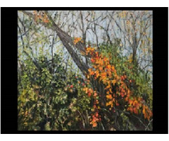 Nature paint | free-classifieds-usa.com - 1