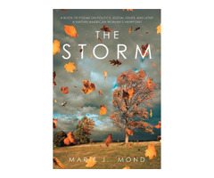 The Storm by Marie J. Mond | free-classifieds-usa.com - 1