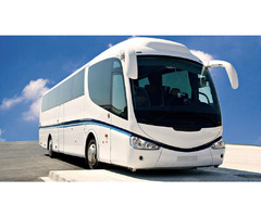 "Journey Like Royalty: Unmatched Luxury Bus Experiences Await" | free-classifieds-usa.com - 2