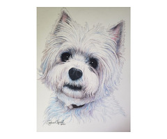 Order a Stunning Pet Portrait Today! | free-classifieds-usa.com - 2
