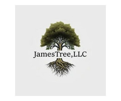 Tree Removal Service in North Royalton OH - JamesTree, LLC | free-classifieds-usa.com - 1