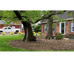 Tree Removal Service in North Royalton OH - JamesTree, LLC | free-classifieds-usa.com - 2