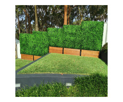 Transform Your Space with Designer Boxwood Hedges | free-classifieds-usa.com - 1