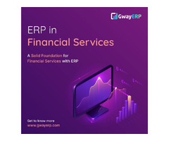 Top ERP Customized Software  Company | free-classifieds-usa.com - 4
