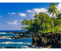 Explore Waterfalls on Road to Hana: Witness Beauty of Lush Landscapes | free-classifieds-usa.com - 1