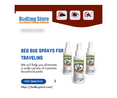 Portable Protection: Bed Bug Sprays for Travelers | free-classifieds-usa.com - 1