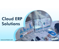 Streamline And Scale Your Business With Cloud ERP Efficiency! | free-classifieds-usa.com - 1