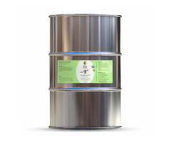 Revitalize & Refresh: Bulk Eucalyptus Essential Oil in USA | free-classifieds-usa.com - 1