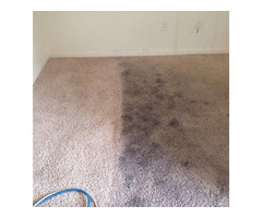 Professional Carpet Cleaning in Austin TX | free-classifieds-usa.com - 1