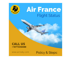 How to track Air France flight status in 5-minutes? | free-classifieds-usa.com - 1