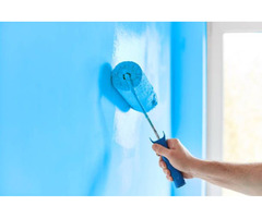 Painting residential properties in Maple Grove | free-classifieds-usa.com - 1